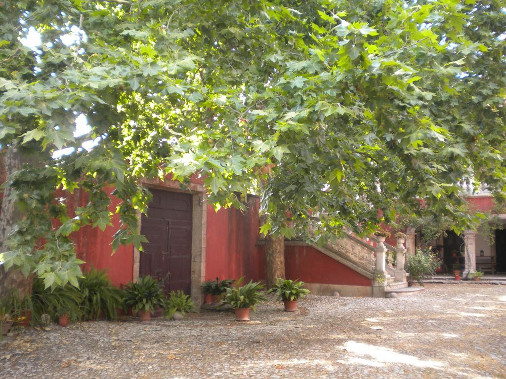 Casa Dos Vargos Bed & Breakfast ตอร์เฮสนอวาส ภายนอก รูปภาพ